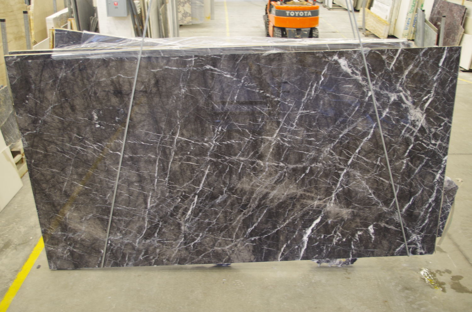 Grigio Carnico