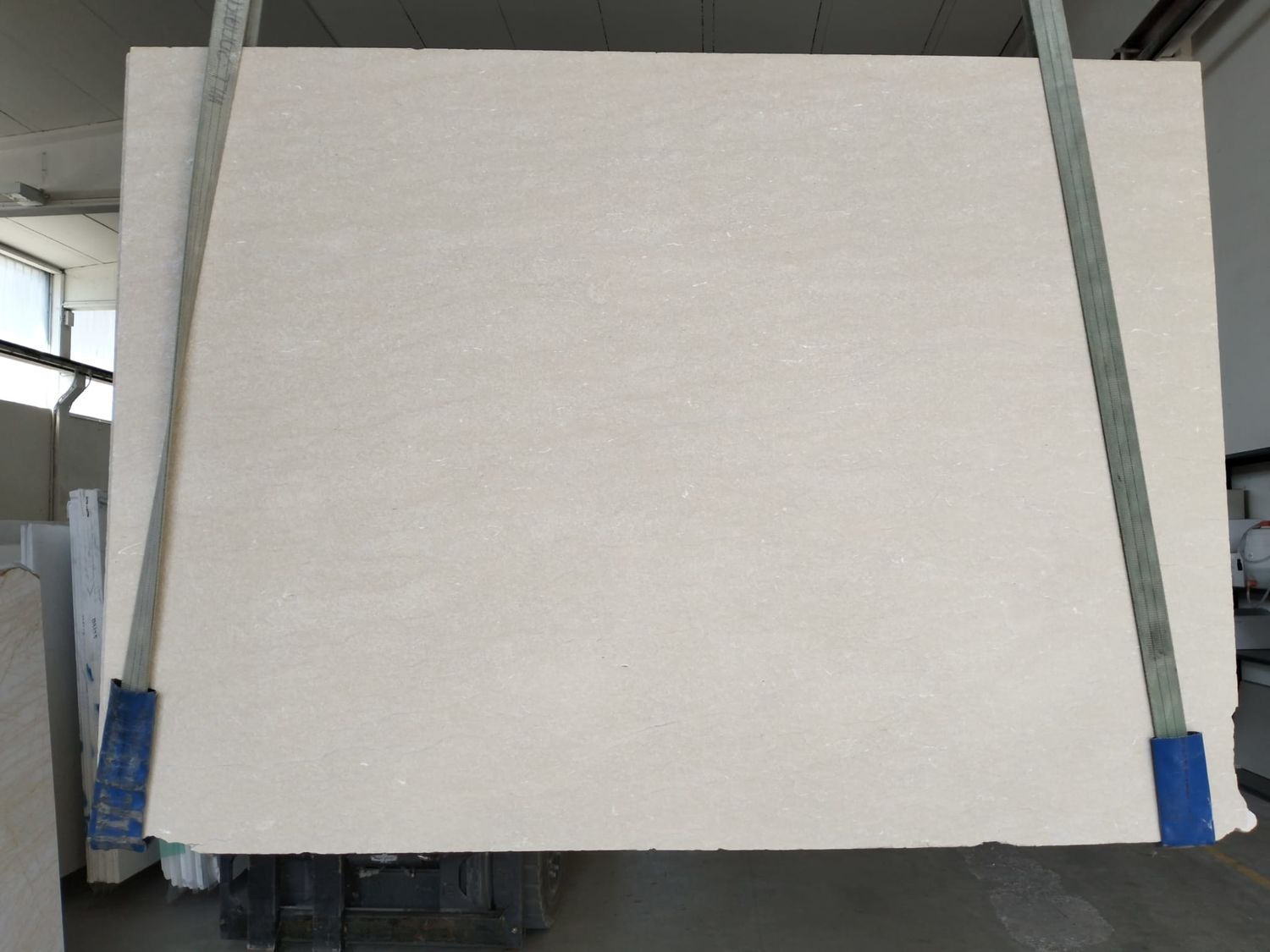 Beige Italia