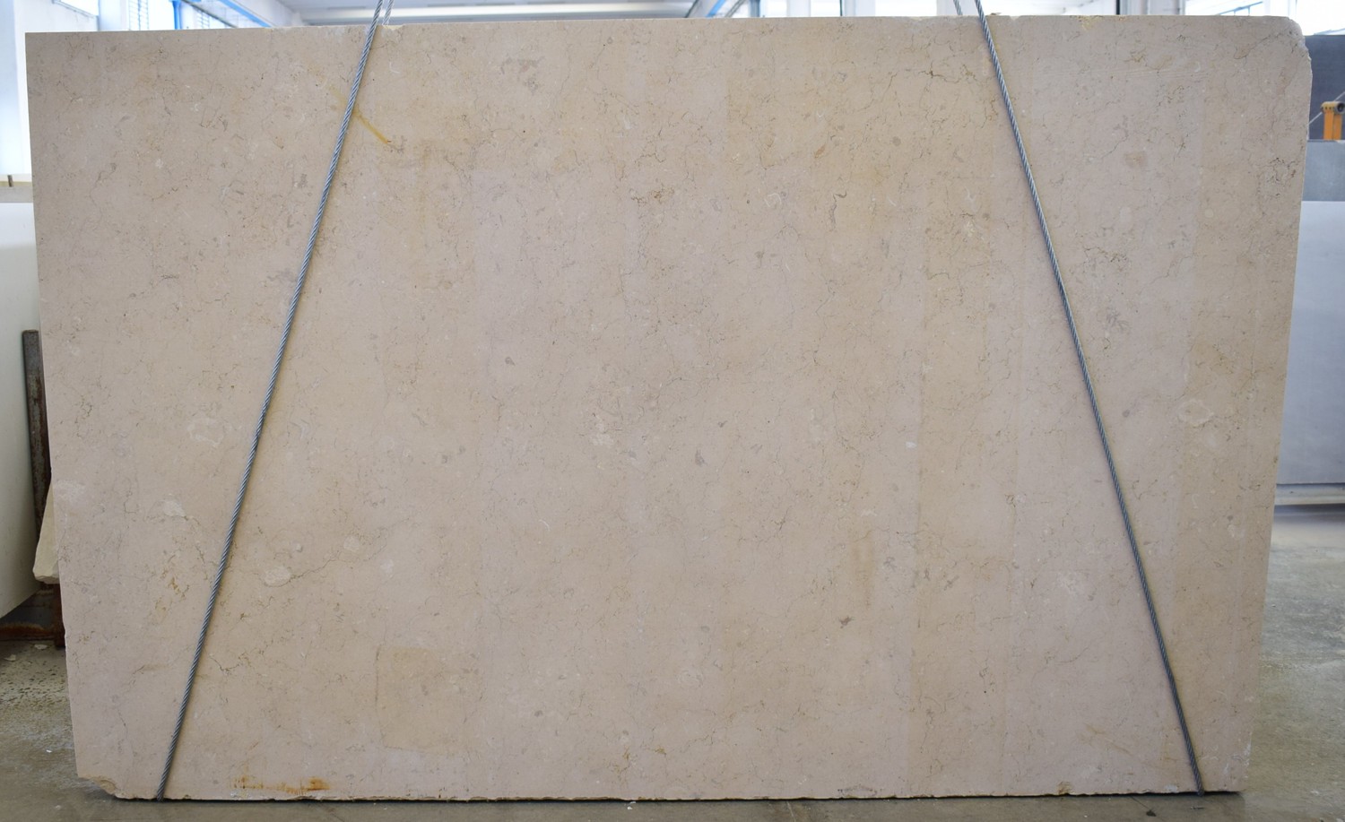 Beige Italia