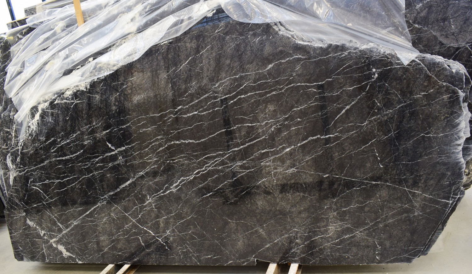 Grigio Carnico