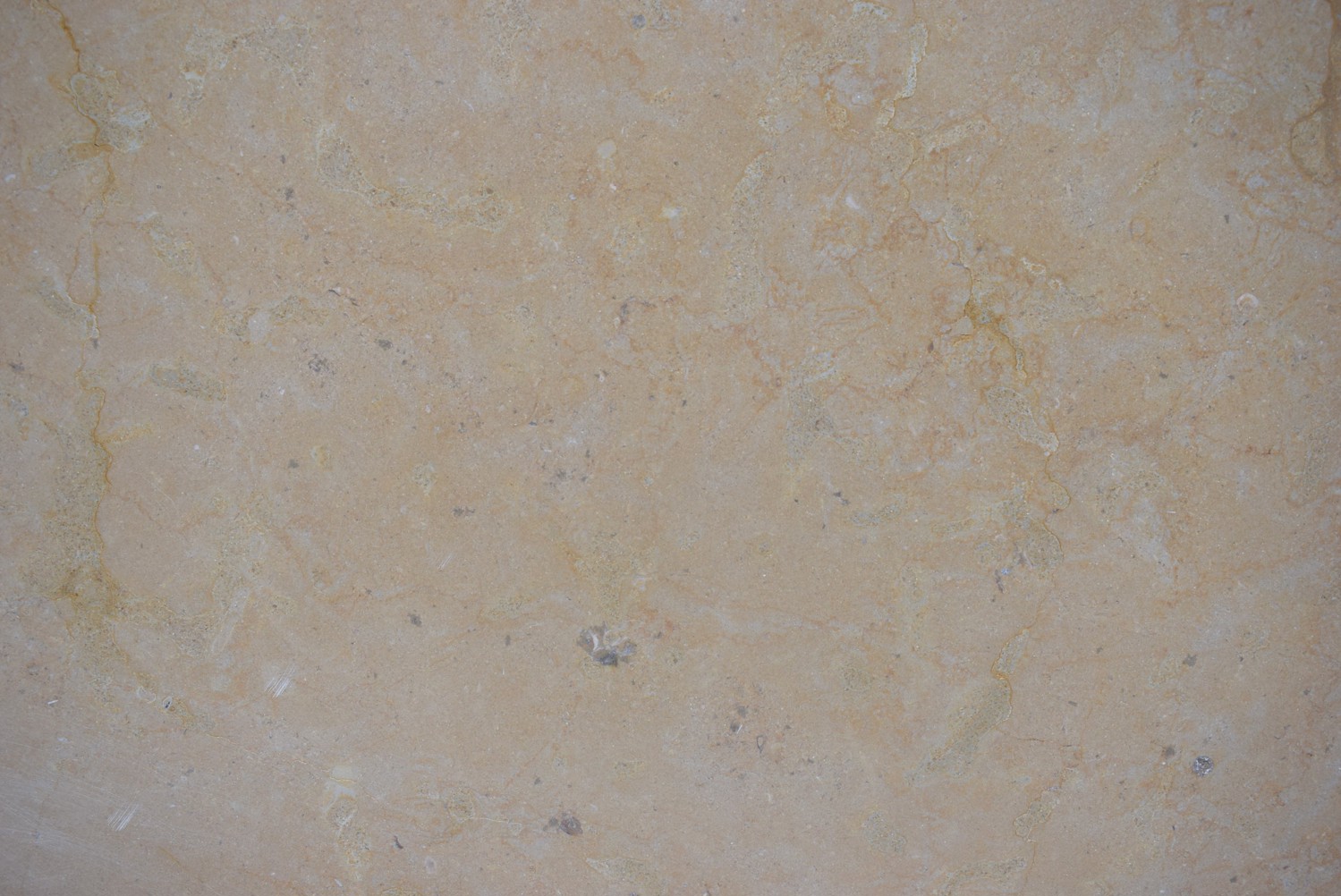 Pietra Maremma / Dorica