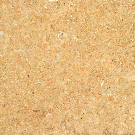 Fossile Giallo