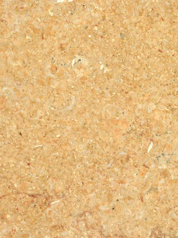 Blocchi In Fossile Giallo
