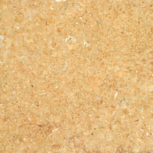 Fossile Giallo