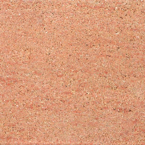 Fossile Rosa