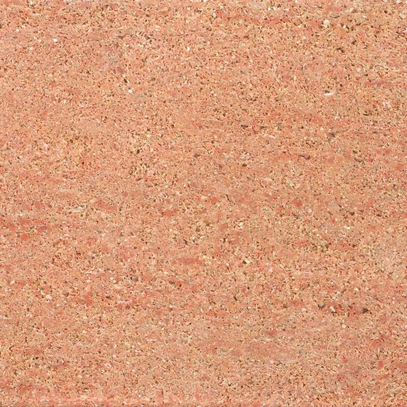Fossile Rosa