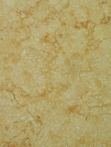 Silvia Oro Tipo R