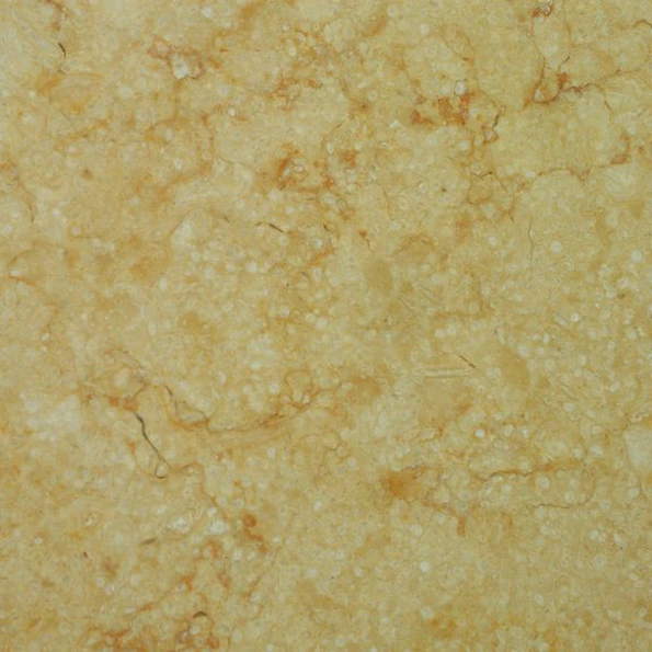 Silvia Oro Tipo R