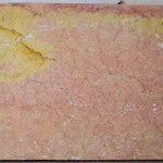 dettaglio