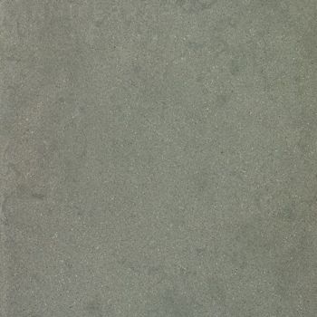 241041