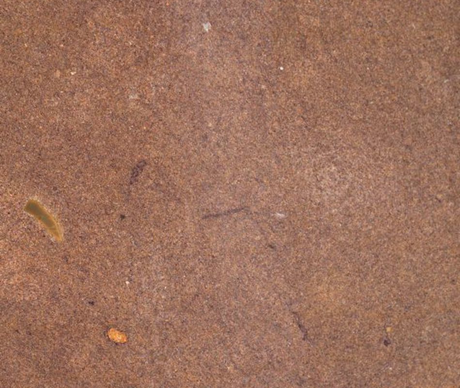 LASTRE IN SANTAFIORA